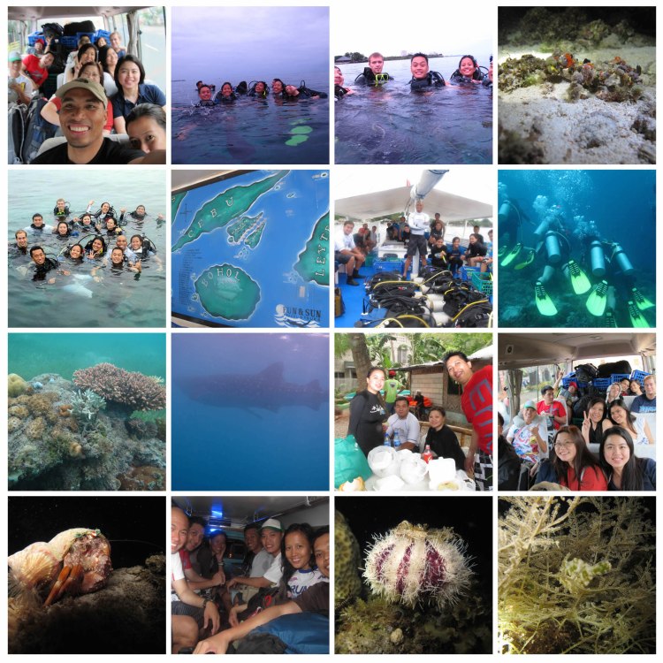 dive-oslob-mactan-2012