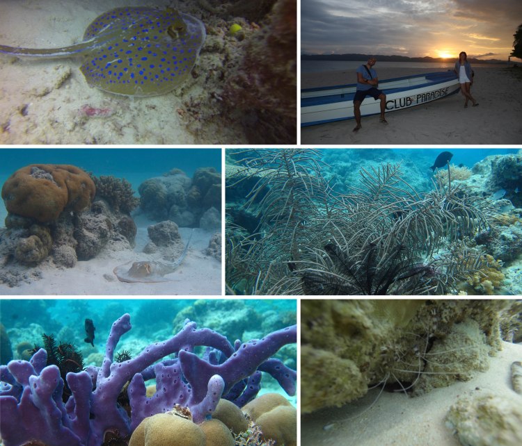 aporeefwithdiscovery_2013_10_14_e