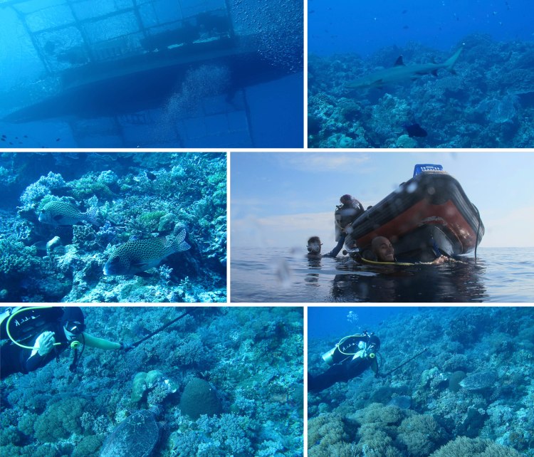 aporeefwithdiscovery_2013_10_14_g