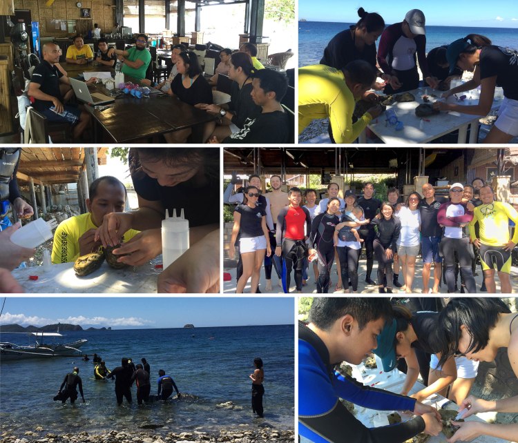 coralprop_2016_03_21_a