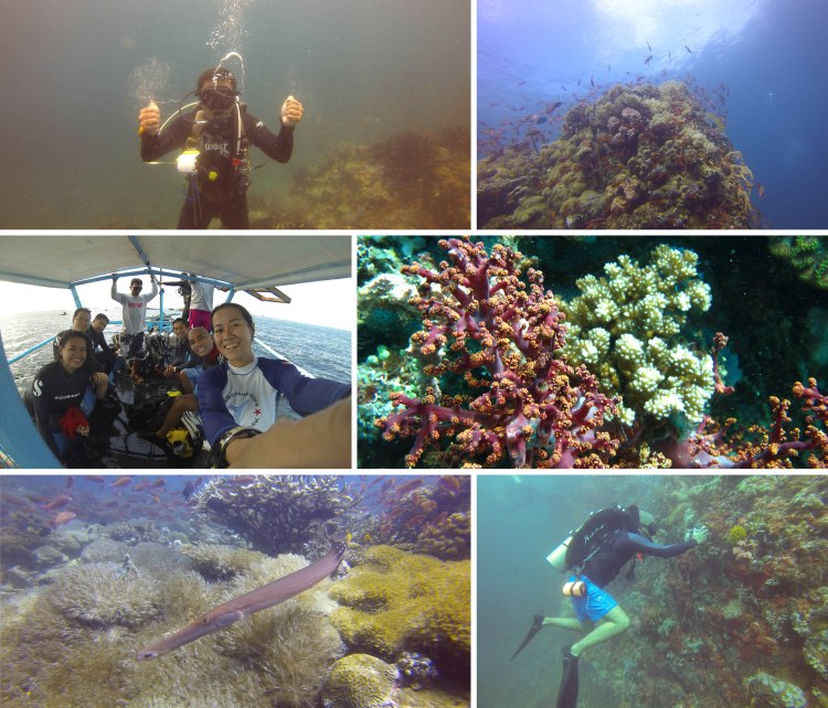 islaverde_2015_09_04_a