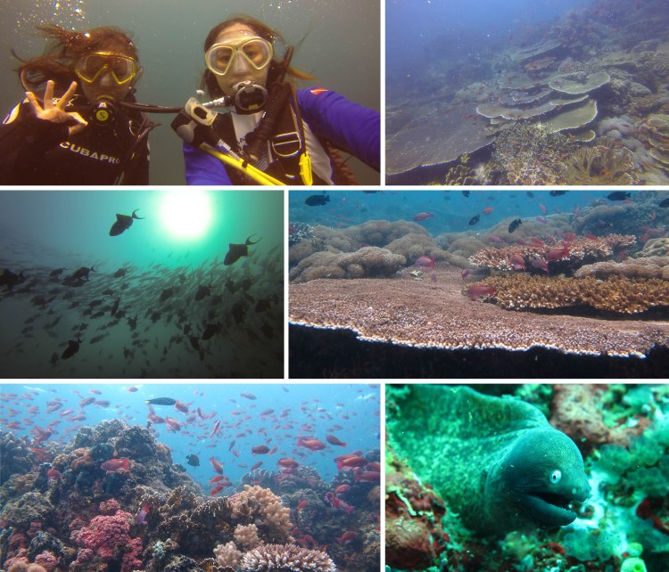 islaverde_2015_09_04_b