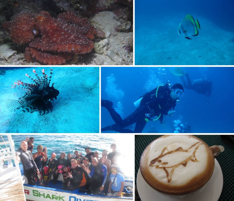 malapascua_2015_06_13_b