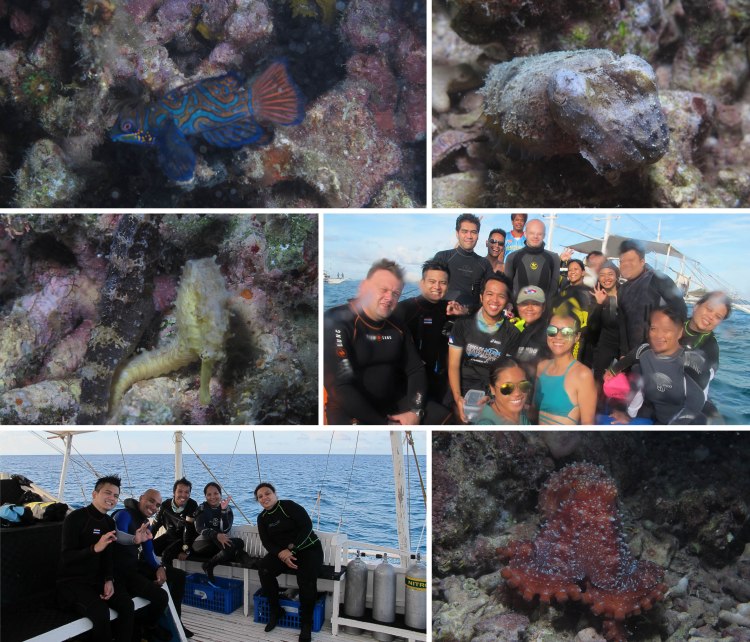 malapascua_2015_06_13_c