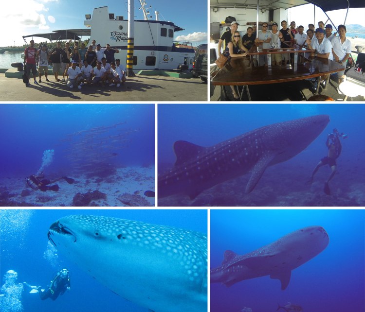 tubbataha_2014_05_15_d