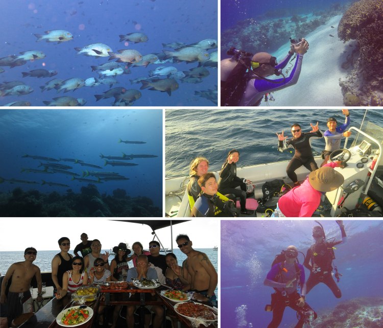 tubbataha_2015_04_25_b