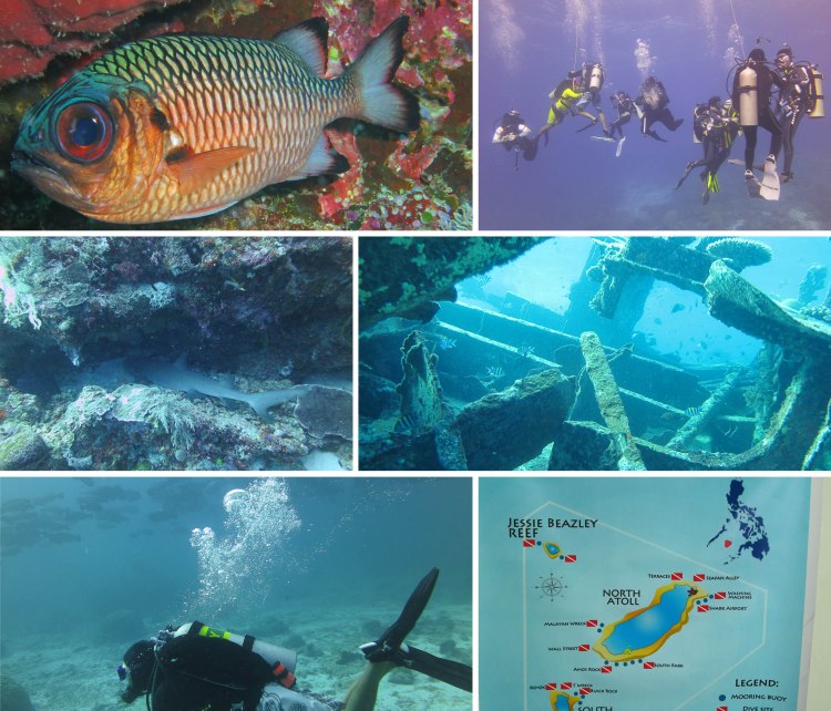 tubbataha_2015_04_25_c