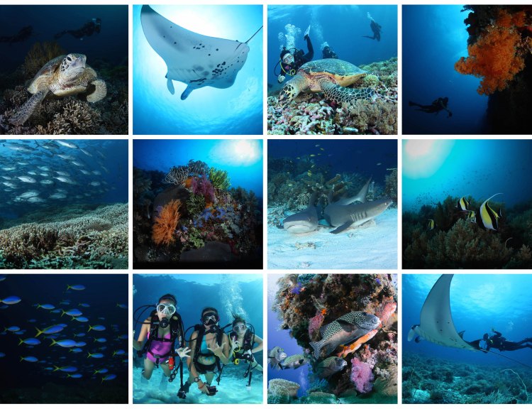 tubbataha_2016_04_23_a