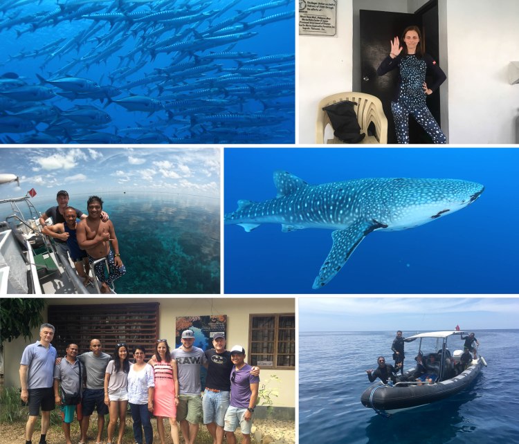 Tubattaha April 2019 2